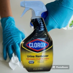 CLOROX Urine Remover for Sta and Odors Spray 946ml